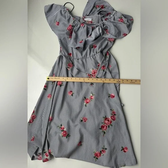 NWT Calvin Klein Striped Floral Embroidery Tie Waist Knee Length Dress Size 6 - Picture 6 of 11